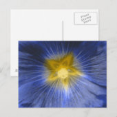 Hollyhock Flower Belle carte postale bleue (Devant / Derrière)