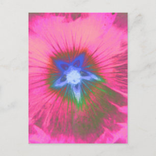 Hollyhock Flower Pink Velvet Briefkaart