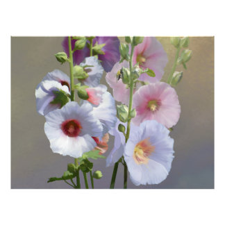 Hollyhock Grouping Foto Afdruk