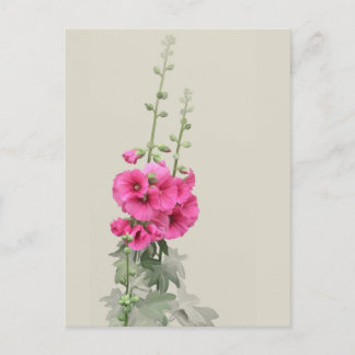 Hollyhocks Briefkaart