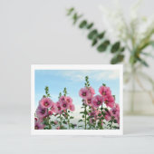 Hollyhocks : Carte postale du Japon (Debout devant)