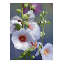 Hollyhocks - Digitaal schilderen - Fotouitbreiding
