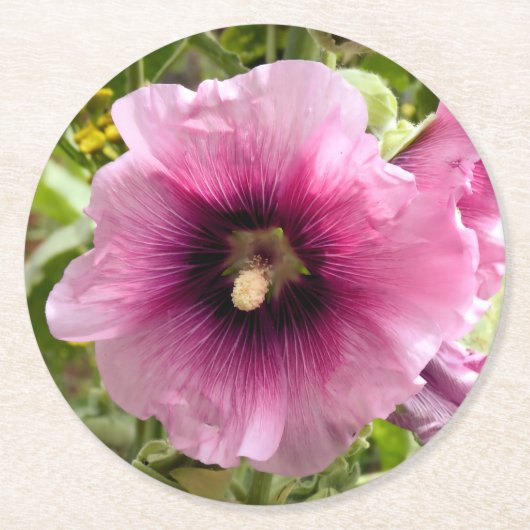 HOLLYHOCKS RONDE KARTONNEN ONDERZETTER (Voorkant)