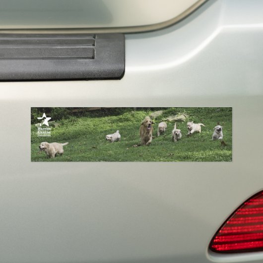 Holly's Half Dozen romp bumper sticker (Op auto)