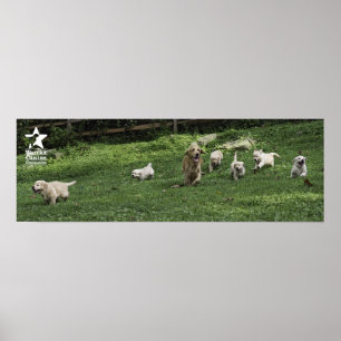 Holly's halve Dozen Romp Poster