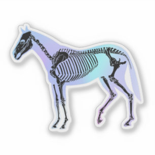 Holografisch Paardenskelet Equine Anatomie Vet Tec Sticker