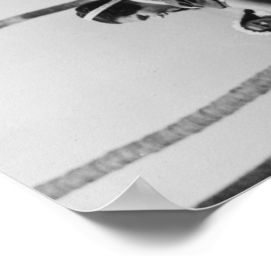 Holoku Hula Dancer met band PhotographyHawaii Poster (Hoek)