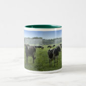 Holstein Cattle Mok (Center)