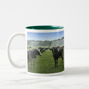 Holstein Cattle Mok