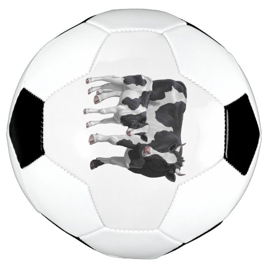 Holstein Cow & Cute Calf (Tourné)