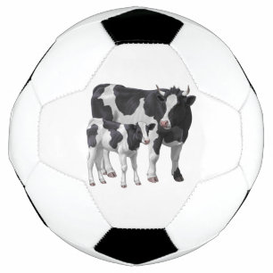 Holstein Cow & Cute Calf
