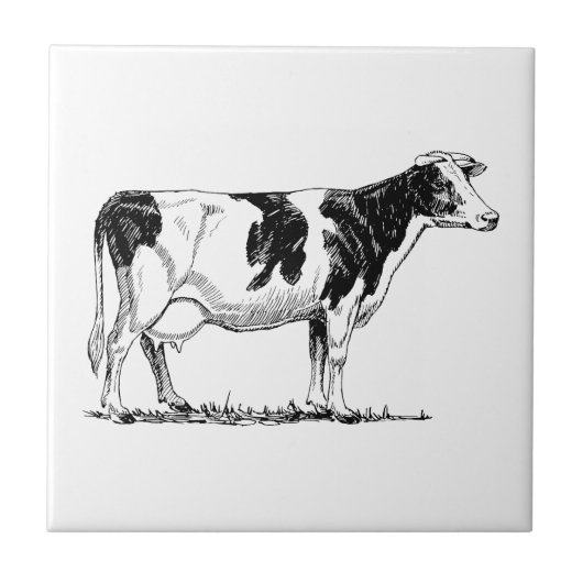 Holstein Cow Tegeltje (Voorkant)