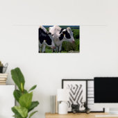 Holstein Dairy Cattle Poster (Thuiskantoor)