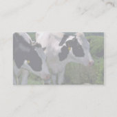 Holstein Dairy Cattle Visitekaartje (Achterkant)