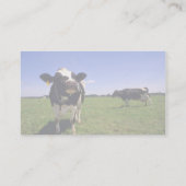 Holstein Dairy Cattle Visitekaartje (Achterkant)