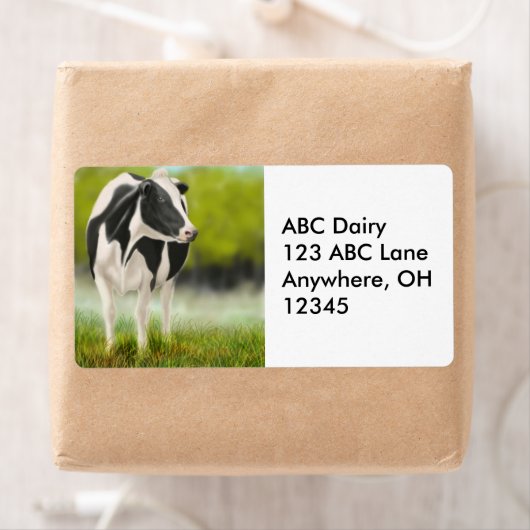 Holstein Dairy Koe Label (Insitu)
