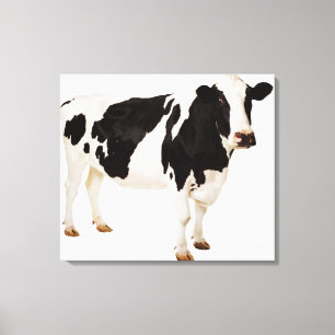 Holstein koe (Bos taurus) Canvas Afdruk