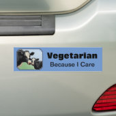 Holstein Koe & Calf Vegetarian Sky Blue Bumpersticker (Op auto)