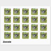 Holstein Koe & Cute Calf in zomerperiode Vierkante Sticker (Vel)