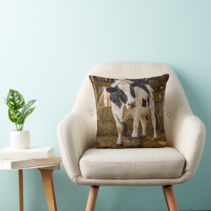 Holstein-koe die in een roestige emmer staat kussen