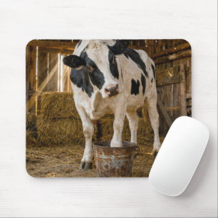 Holstein-koe die in een roestige emmer staat muismat
