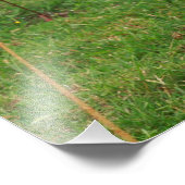 Holstein koe foto afdruk (Hoek)