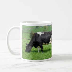 Holstein Koe Grazing Mok