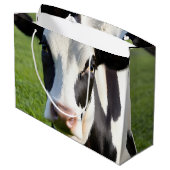 Holstein Koe Groot Cadeauzakje (Achterkant Gekanteld)