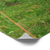 Holstein koe poster (Hoek)