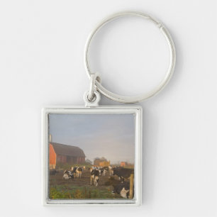 Holstein melkkoeien buiten een schuur bij zonsopga sleutelhanger