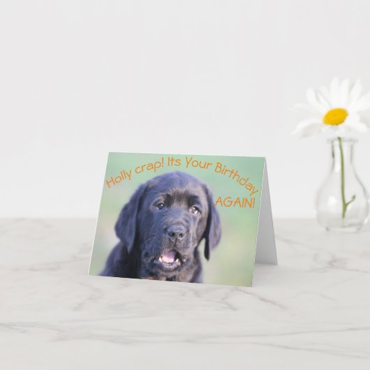 Holy crap! Het is weer je verjaardag! Kaart (Kleine Plant)