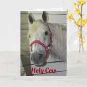 *HOLY KOE* HOE DOE JE HET? *BIRTHDAY COMPLIMENT* KAART (Gele Bloem)