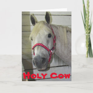 HOLY KOE YOUNG FILLY **40th BIRTHDAY* Kaart