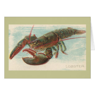 Homard