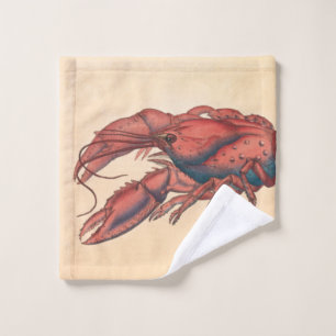 Homard dentelé de James Sowerby