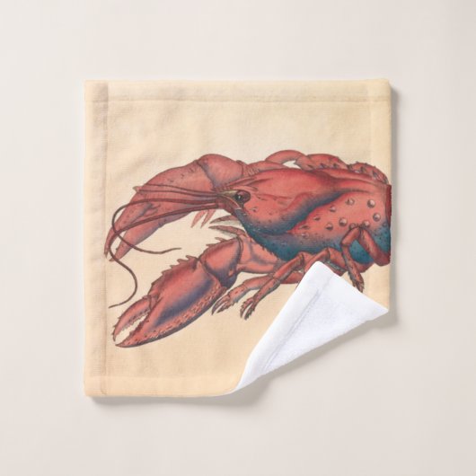 Homard dentelé de James Sowerby (Gant de toilette)