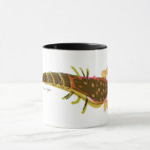 Homard et vairons tasse de 11 onces (Centre)
