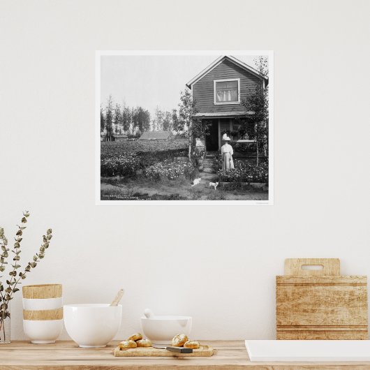 Home Cats Fairbanks Alaska 1916 Poster (Keuken)