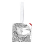 HOME Het verhaal van onze stamboom SWFL Eagles Kubus Ornament (Voorkant)