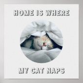 Home is waar mijn kat duwt aangepaste foto poster (Voorkant)