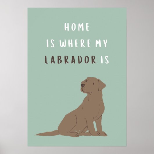 Home is waar mijn labrador Poster is (Voorkant)