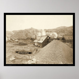 Homebelang Gold in Loodstad SD 1899 Poster