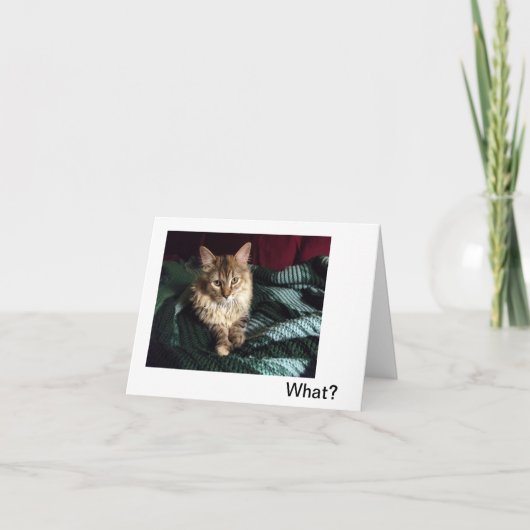 Homecoming Bedankkaart (Voorkant)