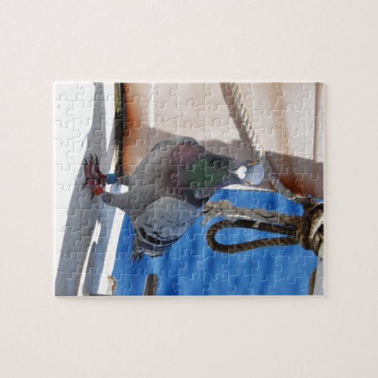 Homepduif Legpuzzel (Horizontaal)