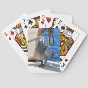 Homepduif Pokerkaarten