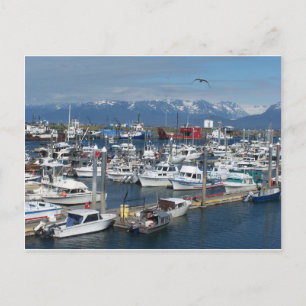 Homer Alaska Briefkaart
