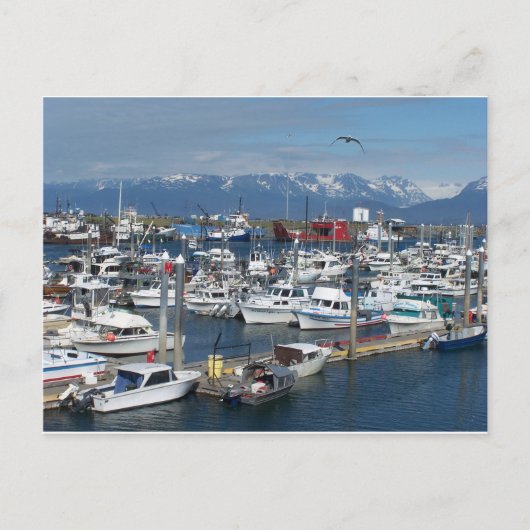 Homer Alaska Briefkaart (Voorkant)