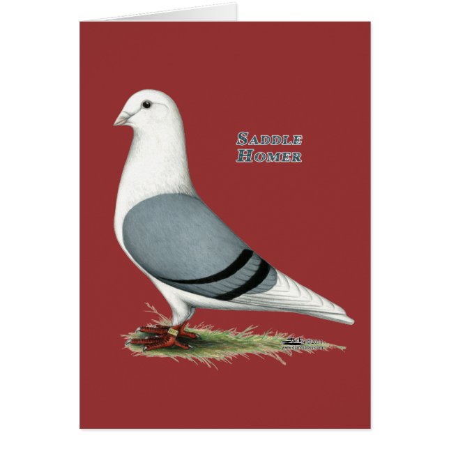 Homer Blue Saddle (Voorkant)