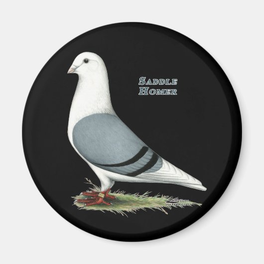 Homer Blue Saddle Magneet (Voorkant)