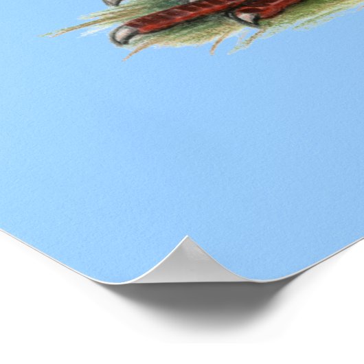 Homer Blue Saddle Poster (Hoek)